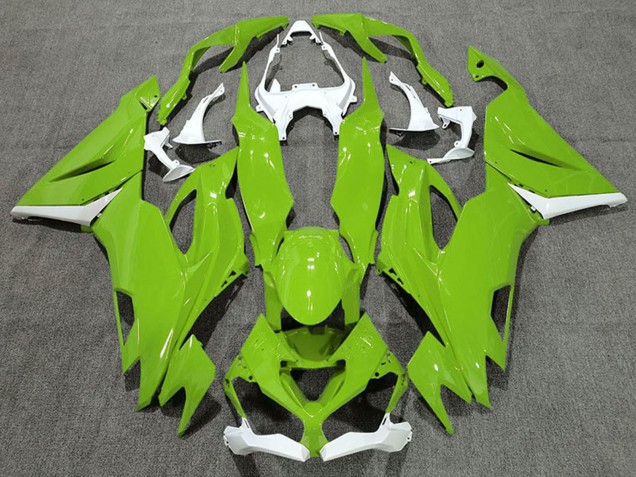 Purchase 2019-2022 White Green Kawasaki ZX6R Motorcycle Fairings UK
