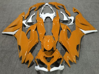 Purchase 2019-2022 White Orange Kawasaki ZX6R Motorcycle Fairings UK