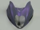 Purchase 1996-2007 Chameleon Grey Dazz Pearl Purple Suzuki GSXR 1300 Hayabusa Motorcycle Fairings UK