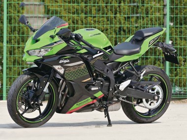 Purchase 2019-2025 Green Black Ninja Kawasaki ZX25R ZX-25R Motorcycle Fairings UK