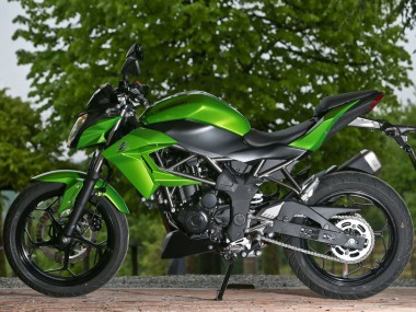 Purchase 2015-2016 Green Black Kawasaki Z250/Z300 Motorcycle Fairings UK