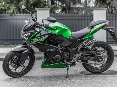 Purchase 2015-2016 Black Green Kawasaki Z250/Z300 Motorcycle Fairings UK