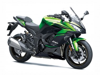 Purchase 2020-2025 Black Green Ninja Kawasaki Z1000SX Ninja 1000SX/1100SX Motorcycle Fairings UK