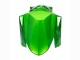 Purchase 2022-2025 Green Black Kawasaki Versys 650 Motorcycle Fairings UK Purchase 2022-2025 Green Black Kawasaki Versys 650 Motorcycle Fairings UK