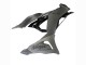 Purchase 2023-2025 Grey Ninja Kawasaki ZX6R Motorcycle Fairings UK Purchase 2023-2025 Grey Ninja Kawasaki ZX6R Motorcycle Fairings UK
