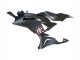 Purchase 2023-2025 Black White with Flower Kawasaki ZX6R Motorcycle Fairings UK Purchase 2023-2025 Black White with Flower Kawasaki ZX6R Motorcycle Fairings UK