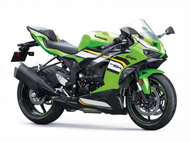 Purchase 2023-2025 Green White Black Ninja Kawasaki ZX6R Motorcycle Fairings UK