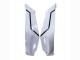 Purchase 2021-2025 White Black Kawasaki ZX10R Motorcycle Fairings UK