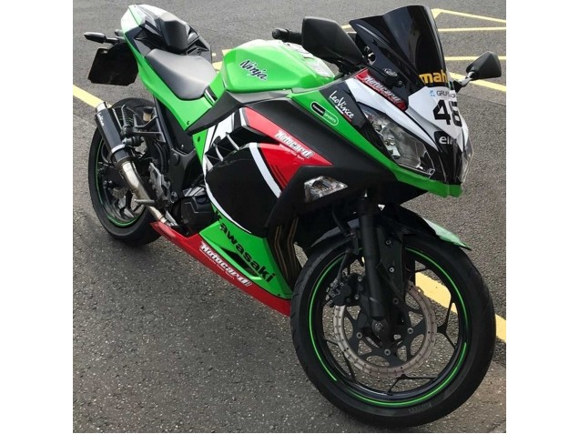 Purchase 2013-2024 Green White Red Black Elf Kawasaki EX300 Motorcycle Fairings UK