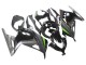 Purchase 2013-2024 Glossy Black Matte Black Green Kawasaki EX300 Motorcycle Fairings UK