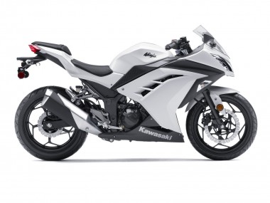 Purchase 2013-2024 White Black Kawasaki EX300 Motorcycle Fairings UK