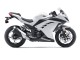 Purchase 2013-2024 White Black Kawasaki EX300 Motorcycle Fairings UK