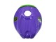 Purchase 2006-2011 Purple Green Red Aprilia RS125 Motorcycle Fairings UK