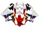 Purchase 1998-1999 White Red Yellow Blue Honda CBR900RR 919 Motorcycle Fairings UK