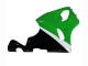Purchase 1996-2003 White Green Black Kawasaki ZX7R Motorcycle Fairings UK