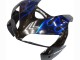Purchase 2005-2006 Glossy Black Blue Flame Honda CBR600RR Motorcycle Fairing UK