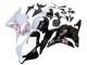 Purchase 2009-2012 White Cherry Blossom Glossy Black Honda CBR600RR Motorcycle Fairings UK