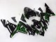 Purchase 2004-2005 Black with Green Flame Ninja Kawasaki ZX10R Motorcycle Fairings UK