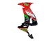 Purchase 2008-2010 Red Green Black Kawasaki ZX10R Motorcycle Fairings UK