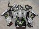 Purchase 2021-2025 Grey Matte Black Green White Elf Snow Monster Kawasaki ZX10R Motorcycle Fairings UK