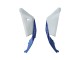 Purchase 2021-2025 White Green Blue Black Kawasaki ZX10R Motorcycle Fairings UK