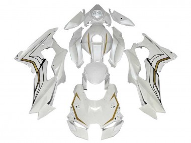 Purchase 2021-2025 White Gold Kawasaki ZX10R Motorcycle Fairings UK
