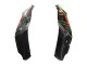 Purchase 2021-2025 Green Black Red Kawasaki ZX10R Motorcycle Fairings UK