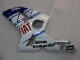 Purchase 2003-2004 White Blue Red Fiat Kawasaki ZX6R Motorcycle Fairings UK