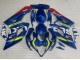 Purchase 2005-2006 Blue Yellow Red Motul Ecstar Suzuki GSXR 1000 Motorcycle Fairings UK
