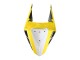 Purchase 2019-2021 Yellow Black White YSP Yamaha YZF R3/R25 Motorcycle Fairings UK Purchase 2019-2021 Yellow Black White YSP Yamaha YZF R3/R25 Motorcycle Fairings UK