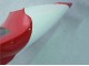 Purchase 1998-1999 Red White Black Dunlop Yamaha YZF 1000 R1 Motorcycle Fairings UK