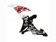 Purchase 2002-2003 White Red Black Castrol Yamaha YZF 1000 R1 Motorcycle Fairings UK