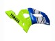 Purchase 1998-2002 Neon Green Blue White Champions Yamaha YZF 600 R6 Motorcycle Fairings UK