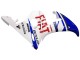 Purchase 2005 Blue White Black Dunlop Fiat Motul Yamaha YZF 600 R6 Motorcycle Fairings UK Purchase 2005 Blue White Black Dunlop Fiat Motul Yamaha YZF 600 R6 Motorcycle Fairings UK