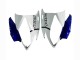 Purchase 2006-2007 White Blue Jordan Yamaha YZF 600 R6 Motorcycle Fairings UK