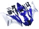 Purchase 2006-2007 White Blue Black Yamaha YZF 600 R6 Motorcycle Fairings UK