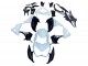 Purchase 2013-2018 White Glossy Black Green Kawasaki Z800 Motorcycle Fairings UK