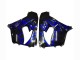 Purchase 2000-2001 Glossy Black Blue Flame White Kawasaki ZX9R Motorcycle Fairings UK