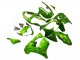 Purchase 2000-2001 Green Flame Kawasaki ZX9R Motorcycle Fairings UK