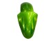 Purchase 2000-2001 Green Flame Kawasaki ZX9R Motorcycle Fairings UK