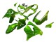 Purchase 2000-2001 Green Flame Kawasaki ZX9R Motorcycle Fairings UK