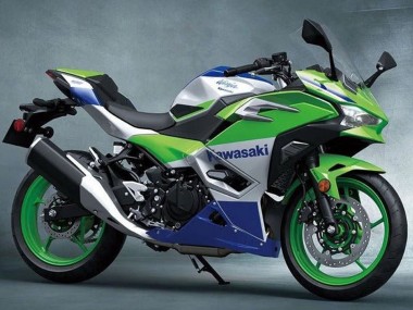 Purchase 2024-2025 Green White Blue Kawasaki Ninja 500 EX500R Motorcycle Fairings UK