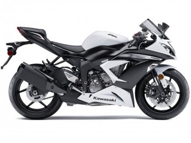 Purchase 2013-2018 White Matte Black Kawasaki ZX6R Motorcycle Fairings Kit UK