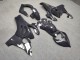 Purchase 2022-2024 Glossy Grey Ducati Panigale V4 V4S Motorcycle Fairings UK