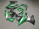 Purchase 2019-2022 Glossy Green Carbon Fiber Style BMW S1000RR Motorcycle Fairings UK