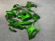 Purchase 2023-2024 Glossy Green BMW S1000RR Motorcycle Fairings UK