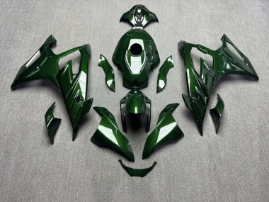 Purchase 2023-2024 Glossy Green Carbon Fiber Style BMW S1000RR Motorcycle Fairings UK