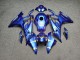 Purchase 2023-2024 Matte Candy Blue Gold BMW S1000RR Motorcycle Fairings UK