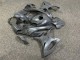 Purchase 2023-2024 Glossy Pearl Grey BMW S1000RR Motorcycle Fairings UK