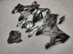 Purchase 2023-2024 Glossy Forged Carbon Fiber Style BMW S1000RR Motorcycle Fairings UK